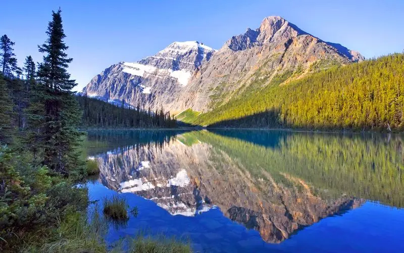 创新创意高性能
